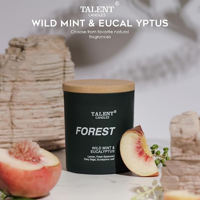 Candles for Home Scented, Natural Soy Wax, Scented Candle Stress Relief and Relaxation, Wild Mint & Eucalyptus, Medium Jar, Ideal for Home and Bedroom Decor