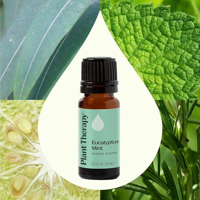 Plant Therapy Eucalyptus Mint Essential Oil Blend 10 mL (1/3 oz) 100% Pure, Undiluted, Invigorating, Breathe Easier Aromatherapy Blend for Diffusers, Home, Shower Aromatherapy