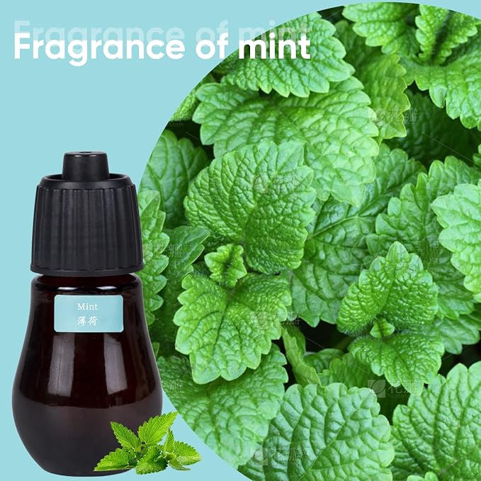 HAPPTWS 3-Pack Essential Oil Kit - Diffuser Oil Use to HAPPTWS Waterless Diffuser Mint/Tea Tree/Lavender