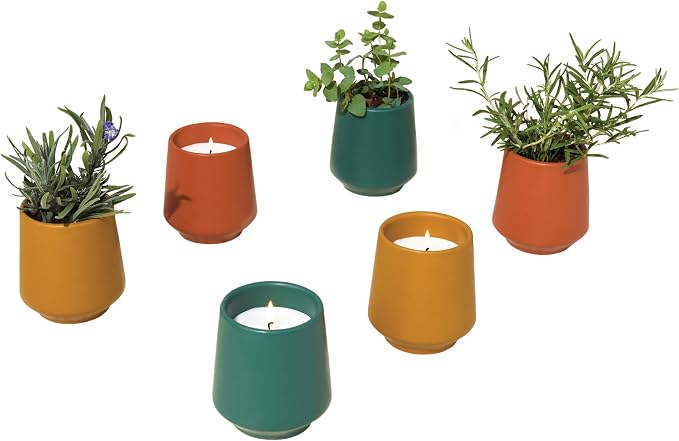 Modern Sprout - 2 in 1 Scented Candles with Seeds that Grows into Plants - 6 oz Soy Candle with 42 hr Burn time in Matte Glaze Ceramic Vessel - Rosemary, Thyme, & Lavender - Pack of 3