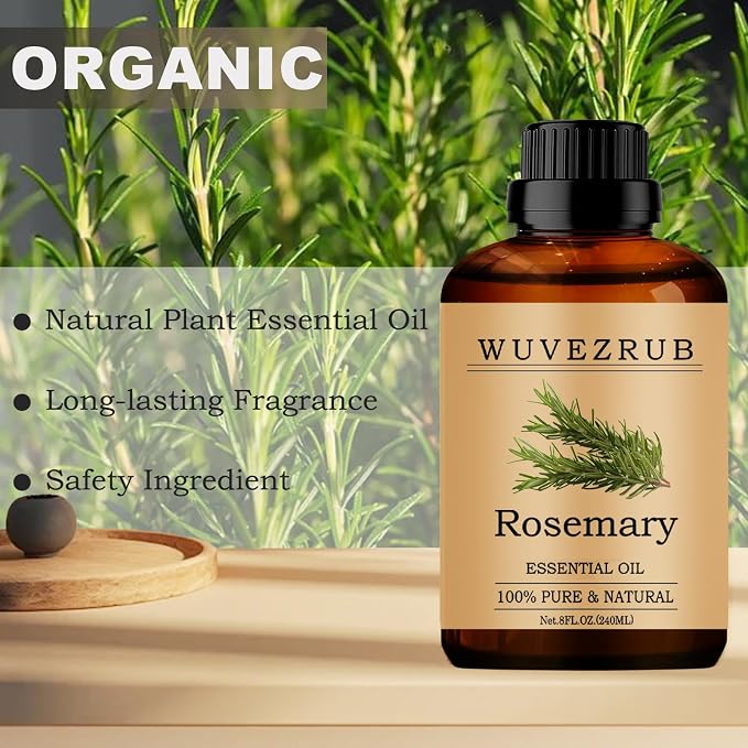 Rosemary Essential Oils, 240ML Pure and Natural Essential Oil for Aromatherapy Diffuser - Rosemary /8 Fl Oz