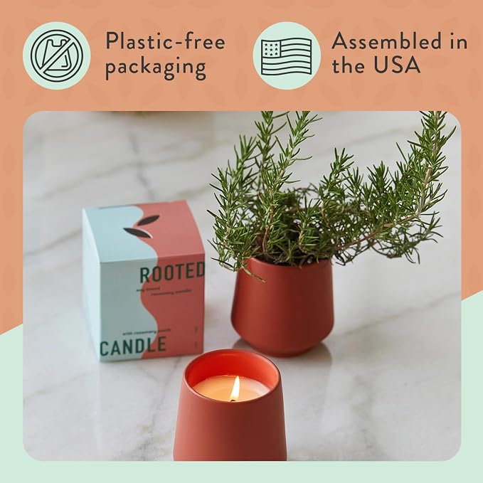Modern Sprout - 2 in 1 Cucumber Scented & Soy Candle with Seeds that Grows into Rosemary Plant - 6 oz w/ 42 Hr Burn Time in Matte Glaze Ceramic Vessel Ideal for Indoor Herb Garden