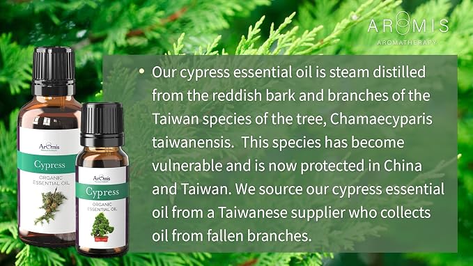 ArOmis Cypress Essential Oil - 100% Pure Therapeutic Grade - Undiluted, Premium Oil - 150 Micron Filtered, Perfect for Aromatherapy Diffusers (10ml / .34 fl oz)