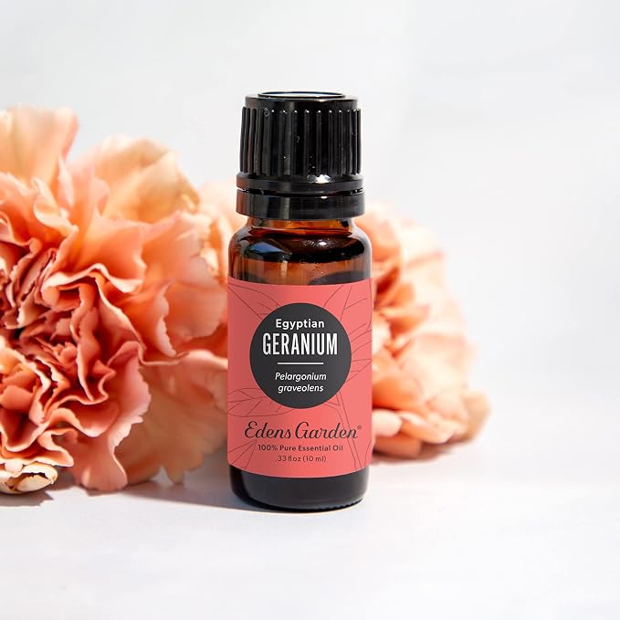 Edens Garden Geranium- Egyptian Essential Oil- 100% Pure Premium Grade, Undiluted, Natural, Therapeutic, Aromatherapy, The Best for Diffuser, Skin, Face, Hair 10 ml (.33 fl oz)