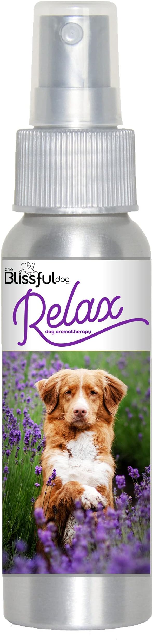 The Blissful Dog Nova Scotia Duck Tolling Retriever Relax Dog Aromatherapy Spray for Your Dog's Anxiety