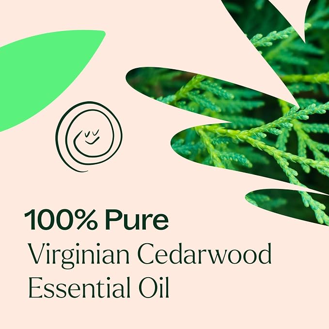 Plant Therapy Cedarwood Virginian Essential Oil 10 mL (1/3 Oz) 100% Pure, Undiluted, for Aromatherapy, Clear Skin and Respiratory Support