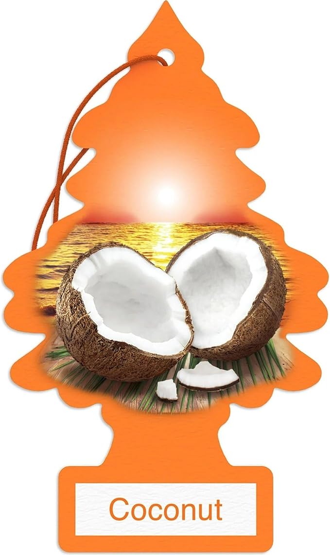 LITTLE TREES Car Air Freshener | Hanging Paper Tree for Home or Car | Coconut | 12 Pack (Packaging May Vary)