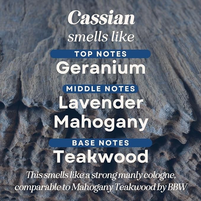CANDECraftCo 2 Pack Bookish Scents Car Air Freshener for Essential Oils, Aromatherapy Automobile Diffuser, Gift for Her, Library, Book Lover Gift, Reading Bibliophile (Cassian)