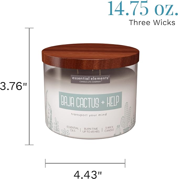 Essential Elements by Candle-lite Scented Candles, Baja Cactus & Kelp Fragrance, One 14.75 oz. Three-Wick Aromatherapy Candle with 45 Hours of Burn Time, Off-White Color
