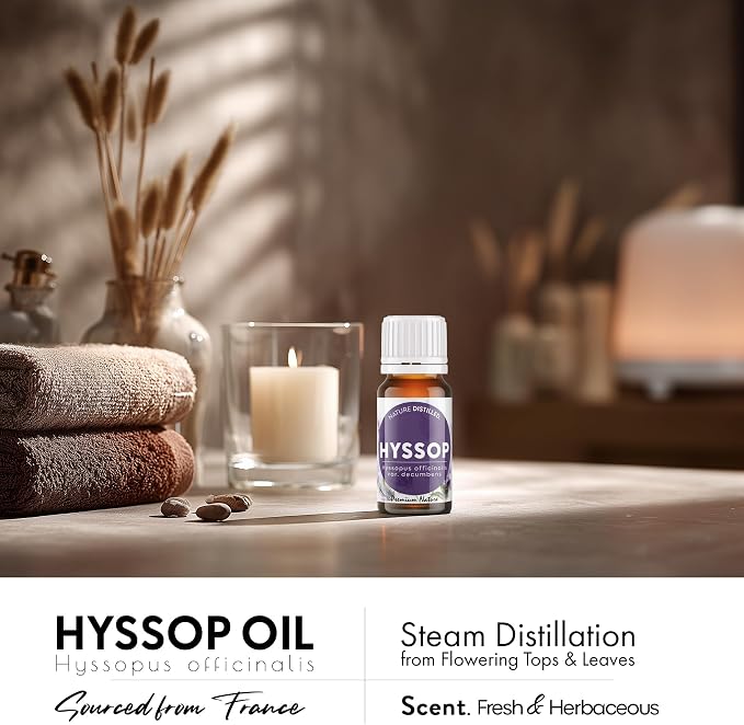 Organic Hyssop Essential Oil | 100% Pure & Natural Hyssopus officinalis Oil Fresh Herbaceous Aroma | for Diffuser, Candle Making & DIY Aromatherapy Blends, 0.34 fl oz