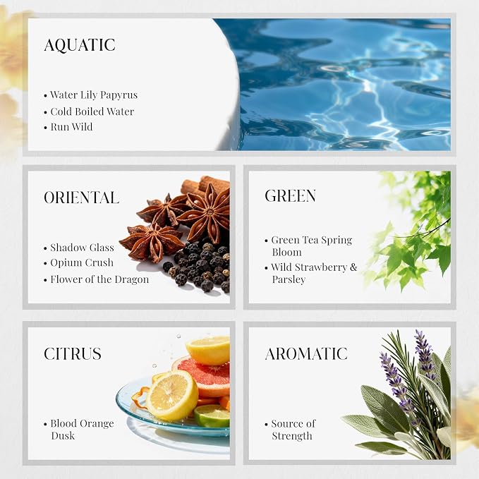 HIQILI Discovery Fragrance Oil Set – 32 pcs, Home Scent for Diffuser, Candle & Perfume Making, Gifts for Women, Long-Lasting Scent from 8 Curated Notes, Non-Toxic, Beautiful Packaging