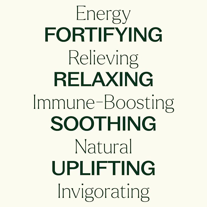 Plant Therapy Essential Oil Blends Set, Top 6 Most Popular, 10 mL (1/3 oz) Each, 100% Pure, Undiluted, Great for Essential Oil Diffusers or Body Care Creations