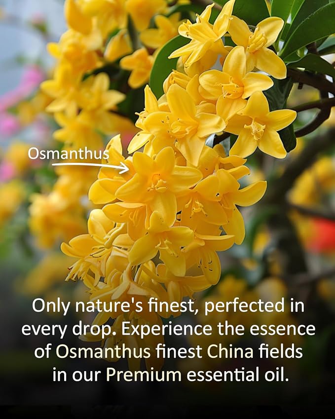 Pure Jasmine Essential Oil, 4 fl oz/120 ml, with a Soft Floral Scent, Suitable for diffusers and Everyday Home use. It can be Used in Aromatherapy, DIY Candles, and soap Making, Large
