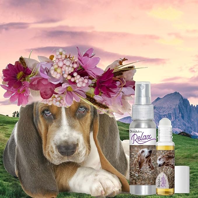 The Blissful Dog Basset Hound Dog Relax Roll-ON Aromatherapy for Dogs - Anxiety Relief for Dogs