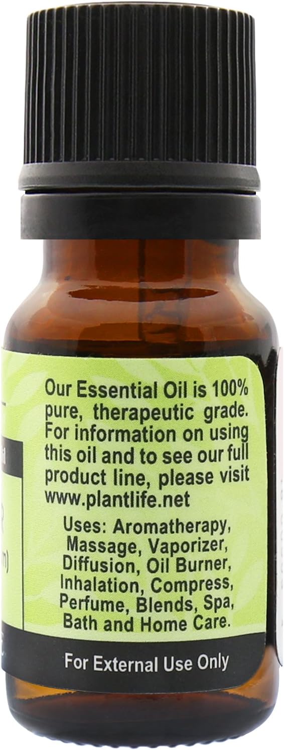 Plantlife Coriander Aromatherapy Essential Oil - Straight from The Plant 100% Pure Therapeutic Grade - No Additives or Fillers - 10 ml
