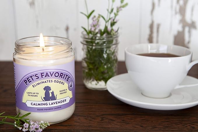 Pet's Favorite Pet Odor Candle, Clean Burning, Long Lasting Scented Candles with a Cotton Wick. (Calming Lavender/French Vanilla, Pack of 2)