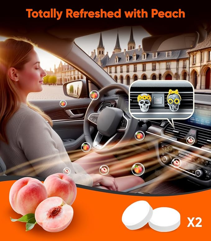 Giftable Daisy Flower Car Air Fresheners Vent Clips Diffusers with Fragrance Pads Funny Goth Skull Car Accessories Interior Skull Birthday/Christmas for Women Girls