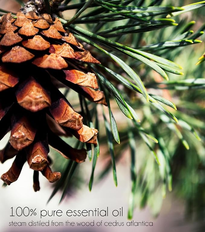 Cedarwood Atlas Essential Oil – 8 fl oz (237 ml) Aluminum Bottle w/Plug Cap – 100% Pure Essential Oil – GreenHealth