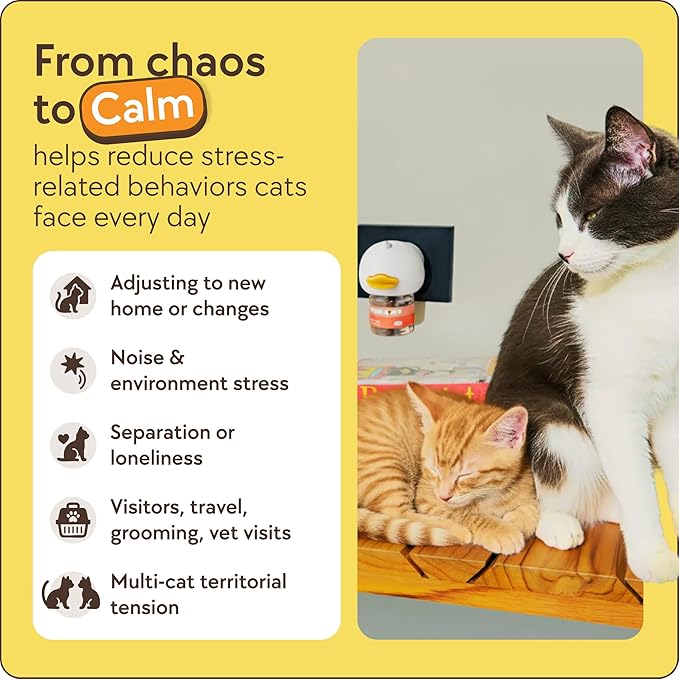 TherapetMD 2-Pack 120-Days Cat Calming Diffuser Kits - Dual-Pheromone Cat Diffusers for Stress, Pee Spraying, Fighting, Aggression, Meowing & Scratching – 2 Diffusers + 120-Days Refills - Box May Vary