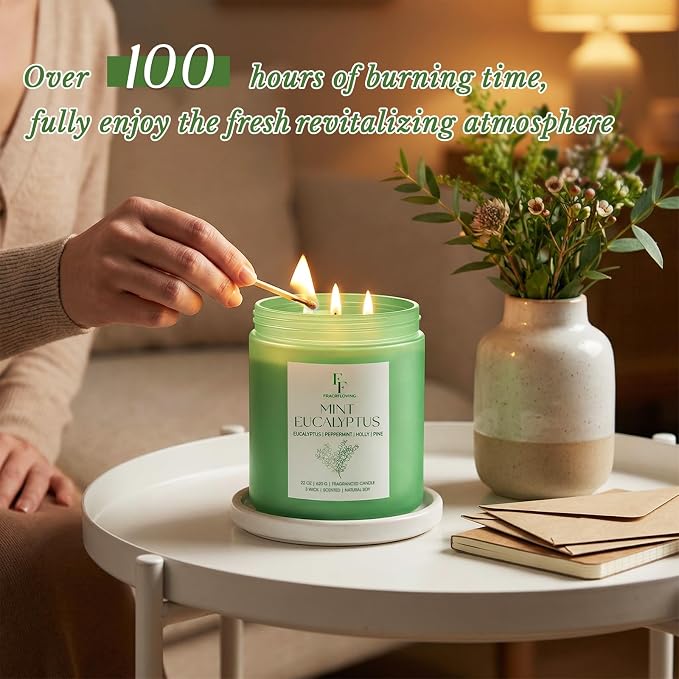 Mint Eucalyptus Large Scented Candle, 3-Wick 22oz Long Lasting Scented Candle, Natural Soy Wax Aromatherapy Candle for Home, Candle Gifts for Women Men