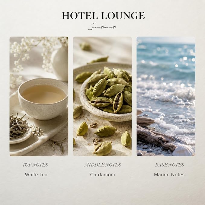Scentiment Hotel Lounge Diffuser Oil - Premium Hotel Scent with Notes of White Tea, Cardamom & Marine Notes Home Scent, Hotel Fragrance Oil Diffuser Refill - 1.69 fl oz (50 mL)