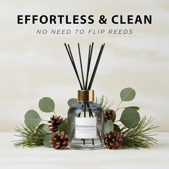 ScentSationals Water-Based Reed Diffuser - White Pine & Eucalyptus - 5 FL OZ Aromatherapy Reed Diffuser
