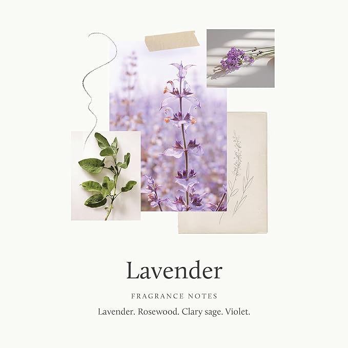 Thymes Lavender Pura Smart Home Plug-in Diffuser Refills - Pack of 2