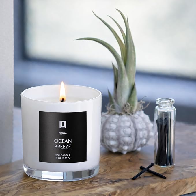Lulu Candles | Ocean Breeze | Luxury Scented Soy Jar Candle | Hand Poured in The USA | Highly Scented & Long Lasting (9 Oz. 2 Pack)