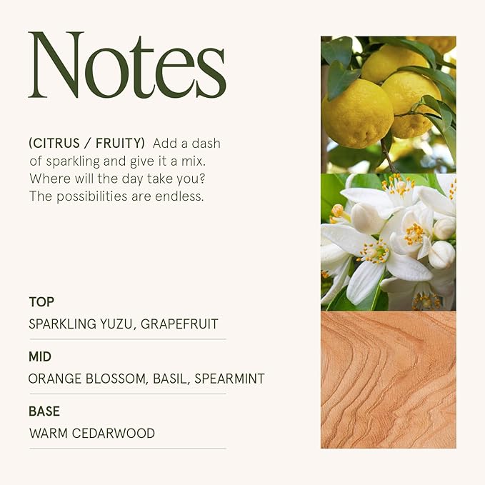 LA JOLIE MUSE Yuzu Neroli Scented Candles for Home, Natural Soy Wax 40 Hrs | Luxury Fresh Jar Candle, Clean Non Toxic, Gift for Women & Men, Spring Summer Candles, Pretty Candle, Citrus Orange Spearmint