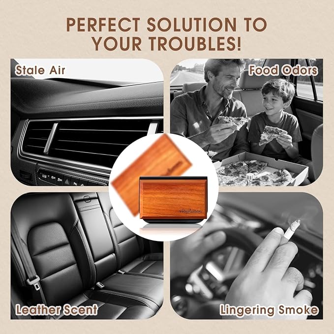 6 Pack Wood Car Air Freshener -3 Scents(Amber-Teak-Pine) Wooden Air Freshener, Natural Essential Oil Scents - Metal Clip Included