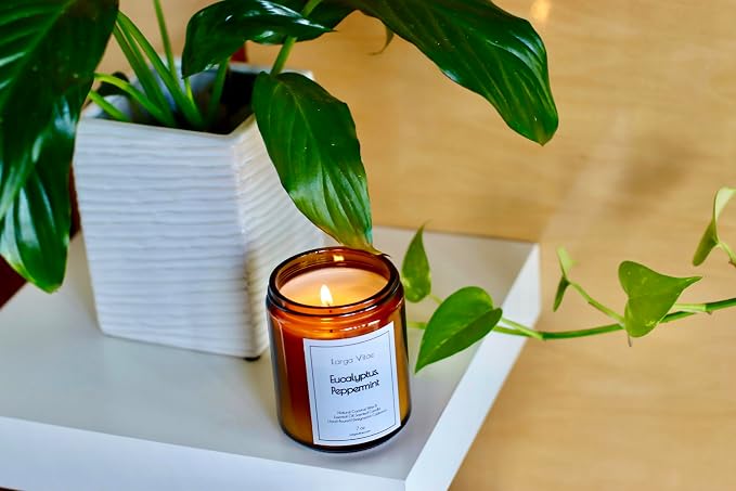 Organic Coconut Wax Aromatherapy Candle | Eucalyptus & Peppermint | Non-Toxic, Pet Safe, Allergy Friendly | Phthalate Free | Zero Waste Sustainable Gift