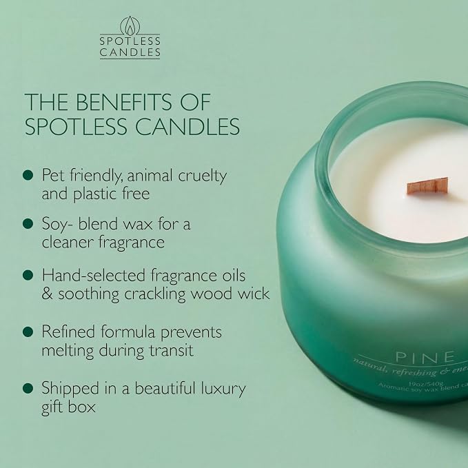 Pine Volcano Candle 19oz: 80-Hour Burn, Natural Refreshing Pine Scent, Hybrid Soy Wax, Crackling Wood Wick, Teal Matte Glass Jar, Gold Foil Gift Box by Spotless Candles