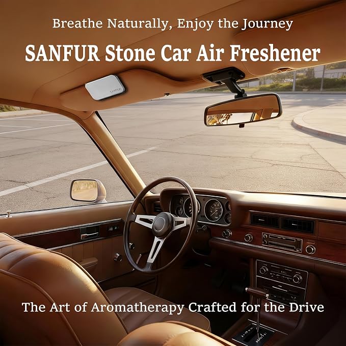 Car Air Freshener - Stone Air Freshener for Visor Clip-Long Lasting Car Odor Eliminator and Scent Diffuser for Cabin, Truck & SUV-2 Clips-Variety 4 Pack(Teak-Amber-Cabana-Open air)