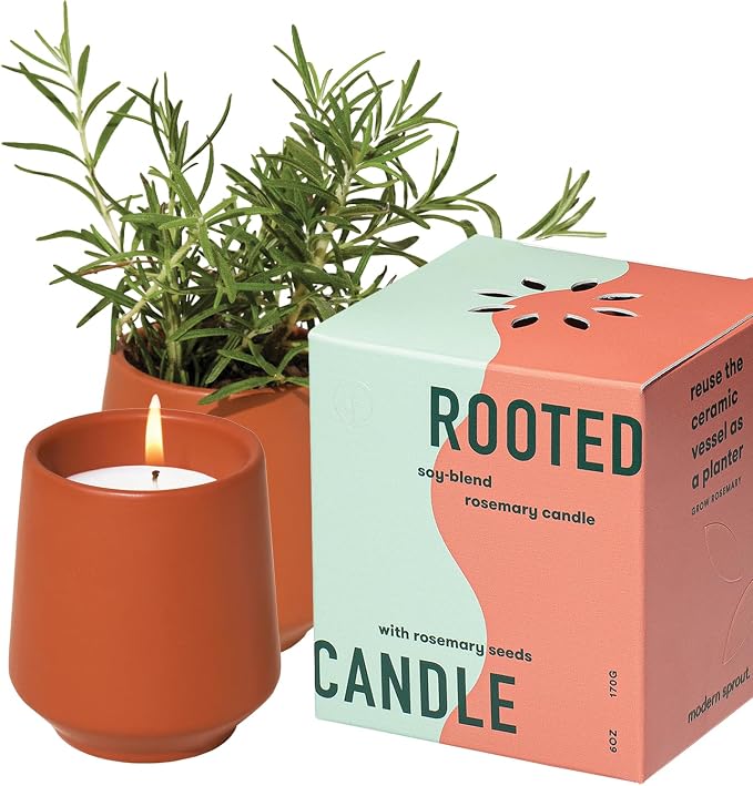 Modern Sprout - 2 in 1 Cucumber Scented & Soy Candle with Seeds that Grows into Rosemary Plant - 6 oz w/ 42 Hr Burn Time in Matte Glaze Ceramic Vessel Ideal for Indoor Herb Garden