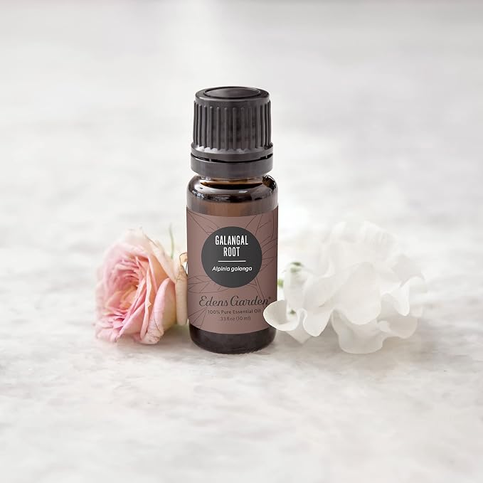 Edens Garden Galangal Root Essential Oil- 100% Pure Premium Grade, Undiluted, Natural, Therapeutic, Aromatherapy, The Best for Diffuser, Candle, Laundry, Humidifiers 10 ml (.33 fl oz)