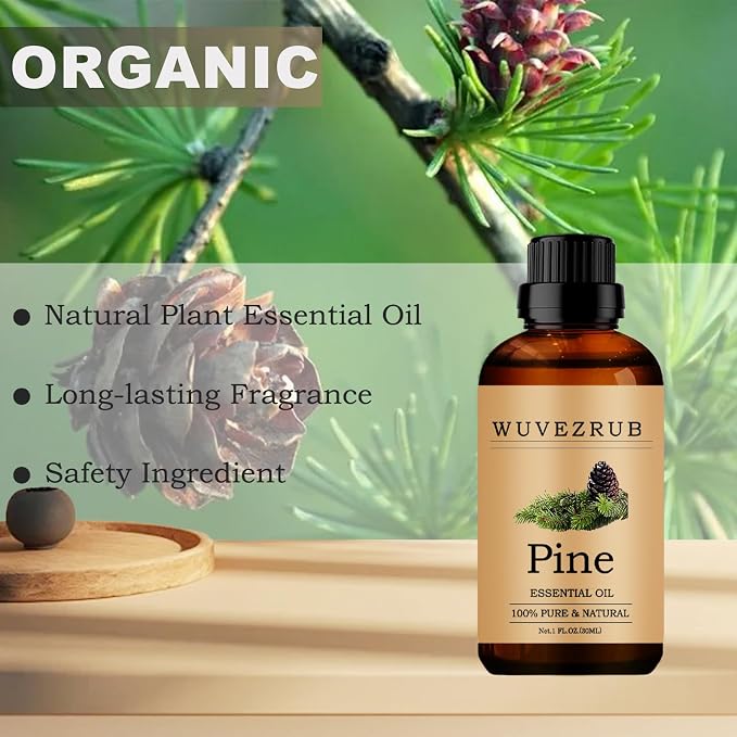 Pine Essential Oils, 30ML Pure and Natural Essential Oil for Aromatherapy Diffuser - Pine /1 Fl Oz
