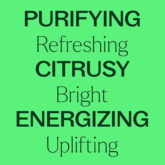 Plant Therapy Lime Steam Distilled Essential Oil 10 mL (1/3 oz) 100% Pure, Undiluted, Fresh Scent, Mood Boosting, Immune Support