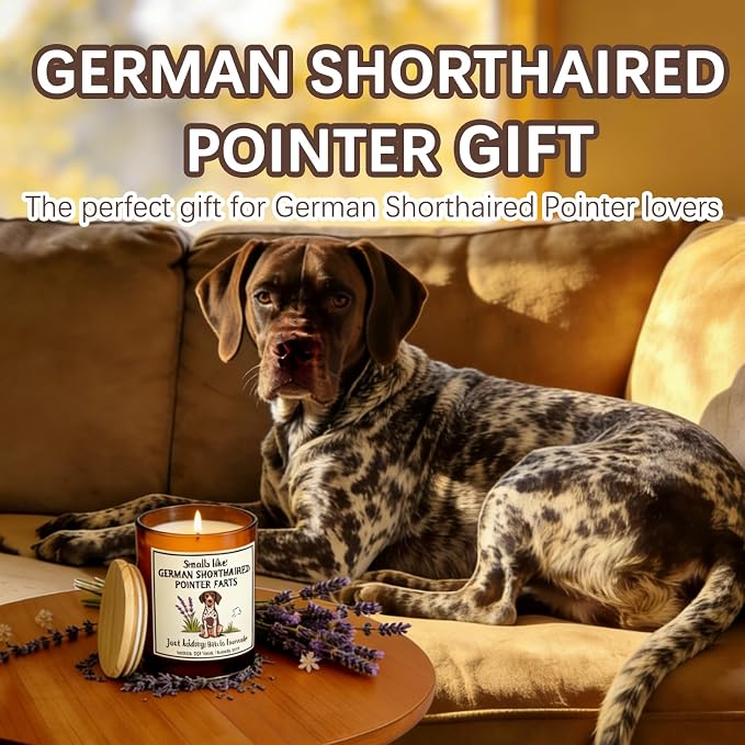 German Shorthair Pointer Decor Gifts for Women - Dog Mom Owners Candle Decor German Shorthair Pointer Farts Candle Themed Gifts for Pet Lovers Crafted by Natural Soy Wax Lavender Scented Candle