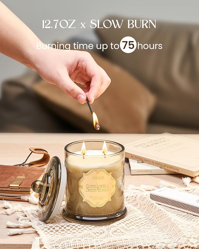 M&SENSE Eucalyptus Cedarwood Soy Candle, 2 Wick 75H Home Decor | Non-toxic, Long-lasting Aromatherapy Candles Relaxing Scent,Housewarming Gift