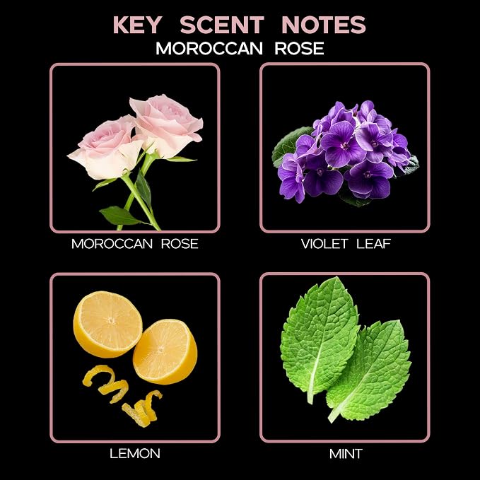 Reed Diffuser Set, Moroccan Rose Scented Oil Diffuser with Sticks, Home Fragrance Accessories for Bathroom Shelf Decor, Aroma Diffusers for Home or Office Desk, USA Made
