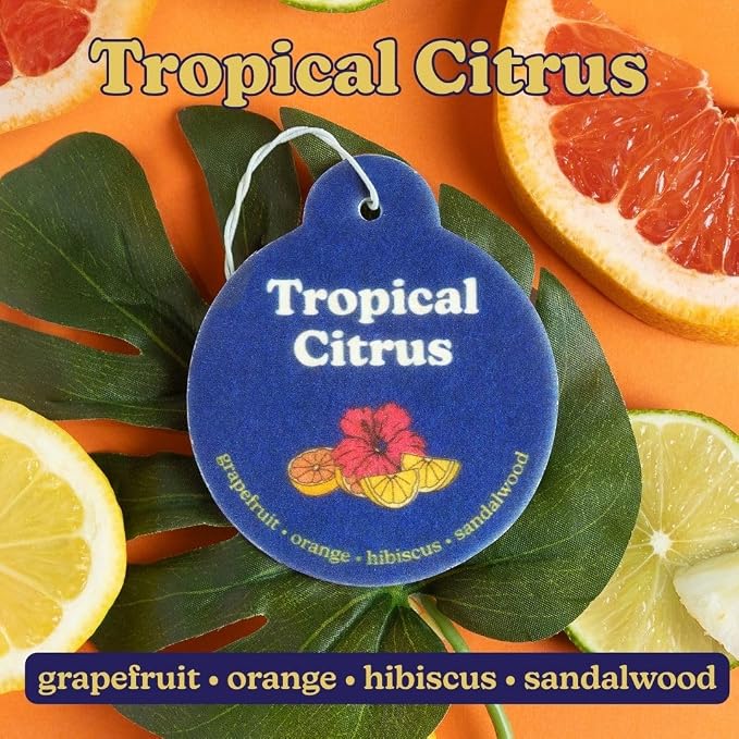 Happy Wax Summer Mix Car Charms 4-Pack Included Scents: Coastal Tide, Bronzed Coconut, Tropical Citrus, Florence