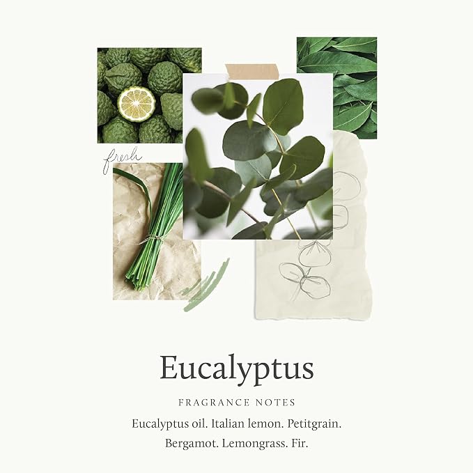 Thymes Eucalyptus Pura Smart Home Plug-in Diffuser Refills - Pack of 2