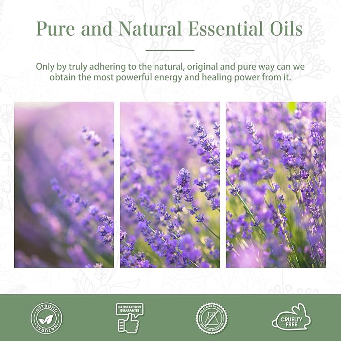 Lavender 3.38fl.oz Essential Oil, PHATOIL Aromatherapy Essential Oils for Diffuser, Humidifier, Perfect for DIY Soap, Candle, Bath Bombs Making(100ml)