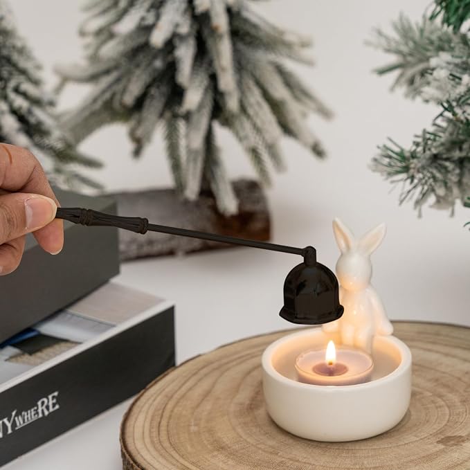 Candle Snuffer Extinguisher,Polished Stainless Steel Candle Wick Flame Extinguish Cover Vintage Tool,Candle Accessory Gift Box (Black)
