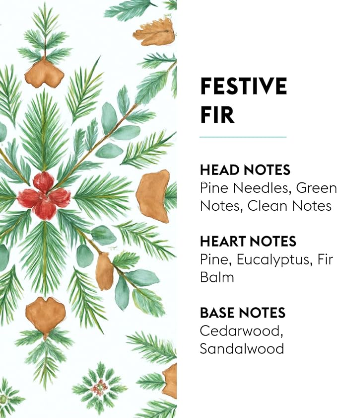 MAISON BERGER Car Diffuser Set, Festive Fir | Pine Eucalyptus Cedarwood Notes, Refillable Vent Clip with Ceramic Refill, Passive 4-Week Diffusion, Made in France