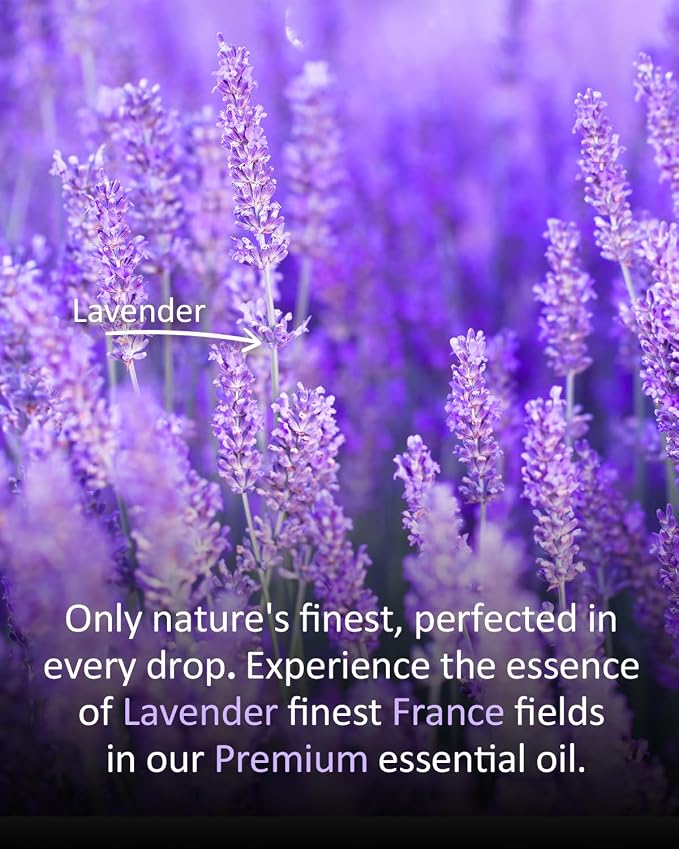 Premium Lavender Essential Oil for Relaxation DIY Diffusers Candles Nails Soaps Shampoo Scented Oil 4 Fl Oz