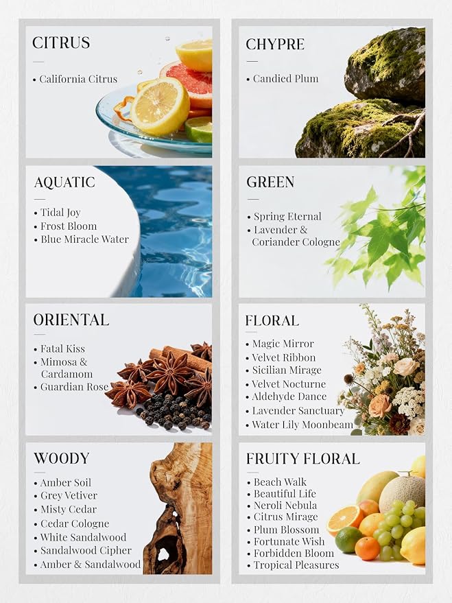 HIQILI Discovery Fragrance Oil Set - 32 Premium Scents for Essential Oils Diffuser, Humidifier, DIY Perfume, Candle & Soap Making, Laundry Dryer Balls, Home Aroma, Long Lasting Aromatherapy Gift Set