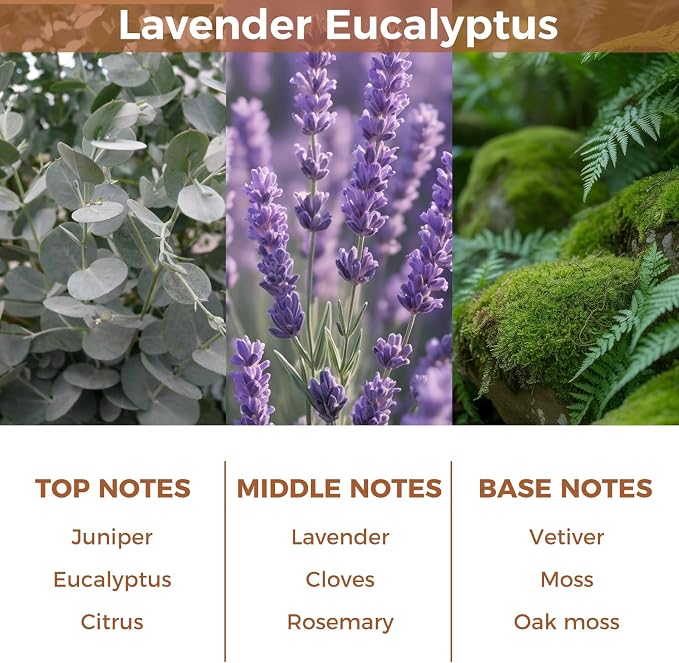 Reed Diffuser Set,Lavender Eucalyptus Essential Scented Oil Diffuser,3.38 fl.oz(100ml) with 6 Sticks,Home Fragrance for Office,Bedroom,Bathroom Decor