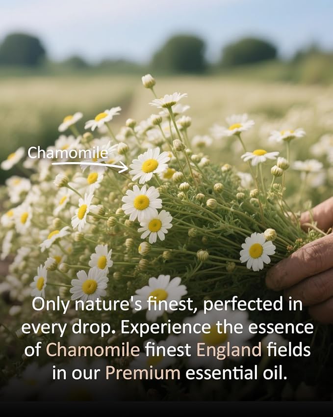 Chamomile Essential Oil 4 fl oz – 100% Pure Roman Chamomile, Gentle Apple-Like Floral Aroma for Diffuser, Bedroom, Evening Routine, DIY Soap & Candle Making – Large Size