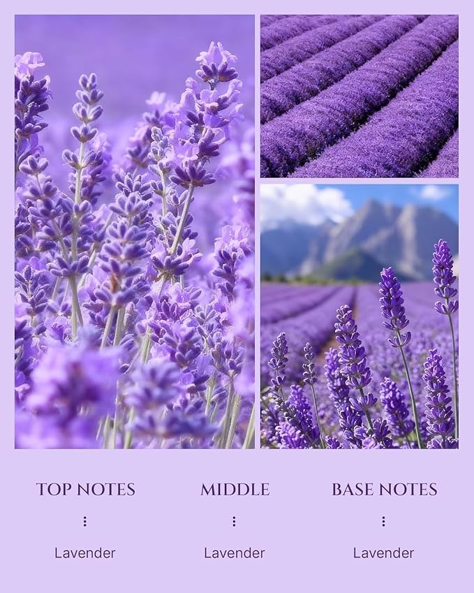 Aromadd Lavender Diffuser Oil Inspired by Classic Botanical Gardens, Premium Fragrance Oils for Waterless Diffuser, Classic Botanical Lavender Scent, Long-Lasting Home Fragrance - 6.76 fl oz (200 mL)